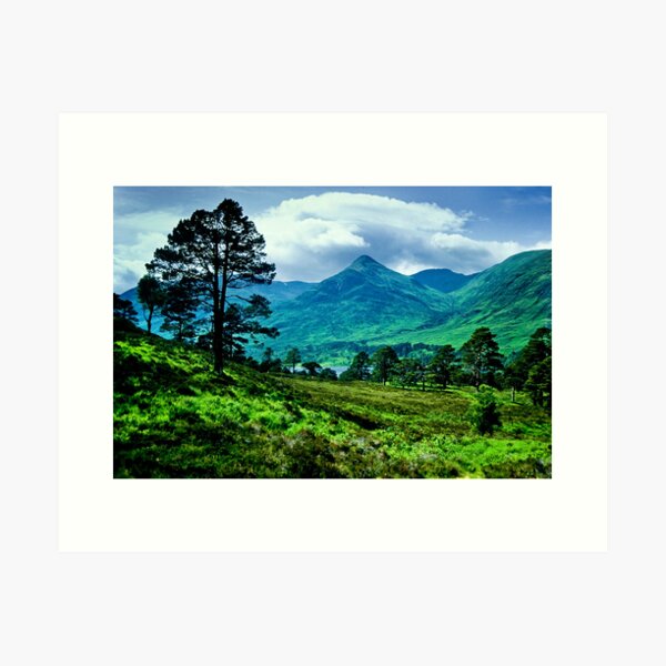Item preview, Glen Affric, Scotland designed and sold by Geoff Spivey.