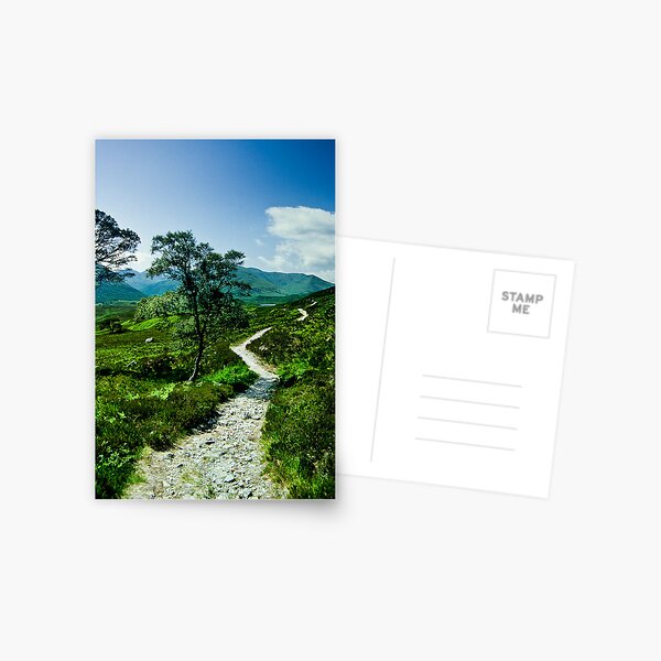 Item preview, Glen Affric, Scotland designed and sold by Geoff Spivey.