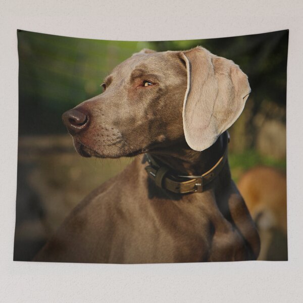 Item preview, Dog, Weimaraner designed and sold by laura-S.