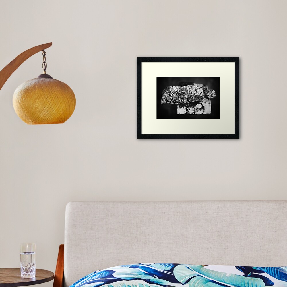 Fragment of the Past Framed Art Print
