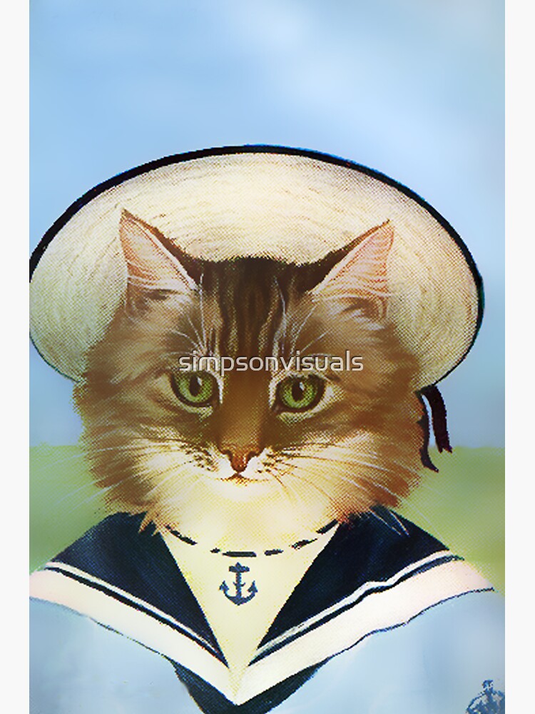 Cat in sailor outfit hotsell