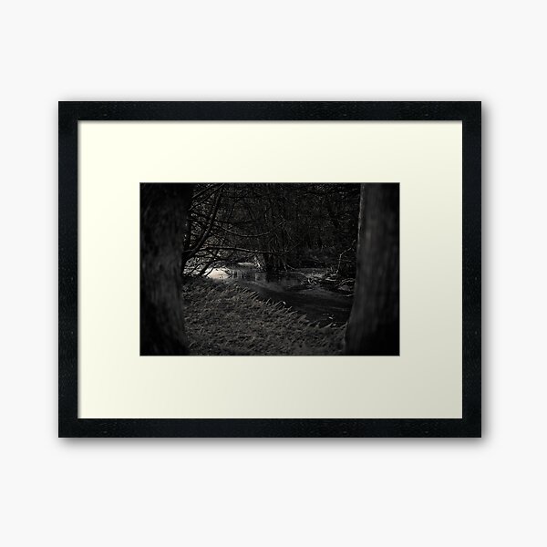 The Dark Woods at Dawn Framed Art Print
