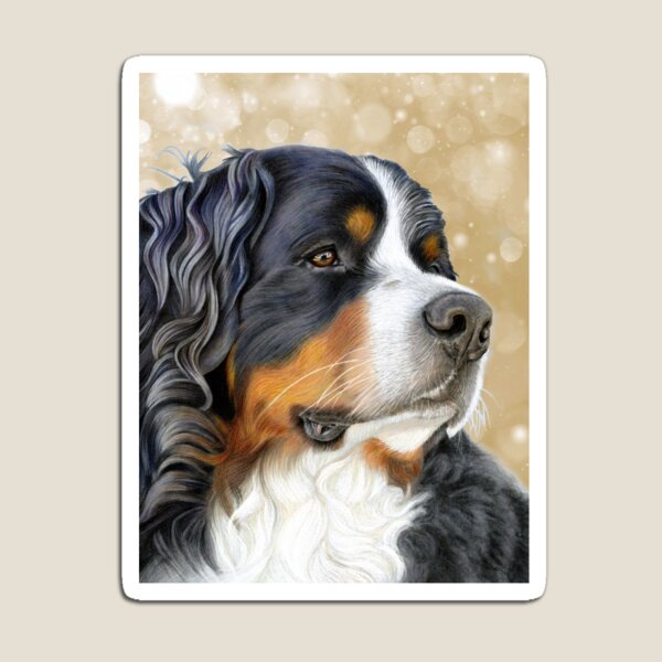 Bernese Mountain Dog - Old Gold Magnet