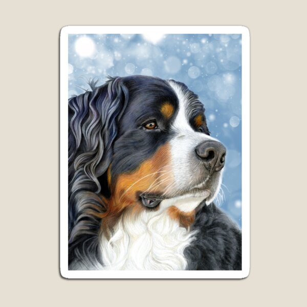 Bernese Mountain Dog - Ice Blue Magnet