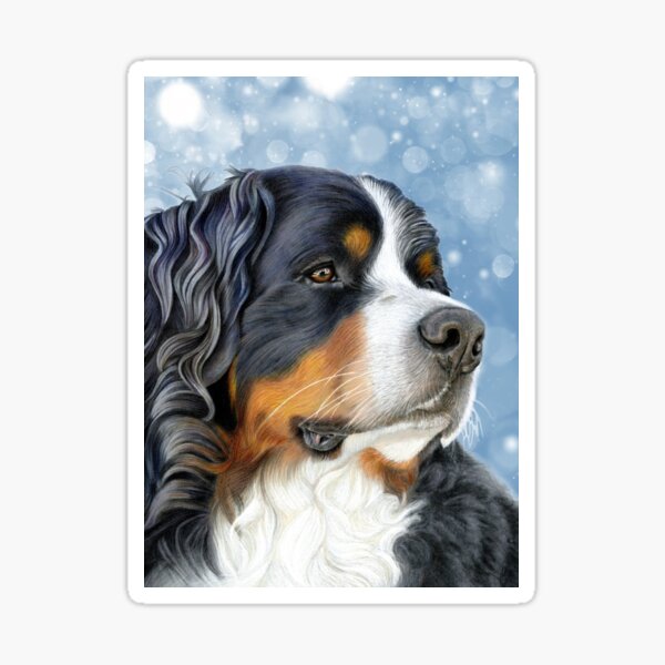 Bernese Mountain Dog - Ice Blue Sticker