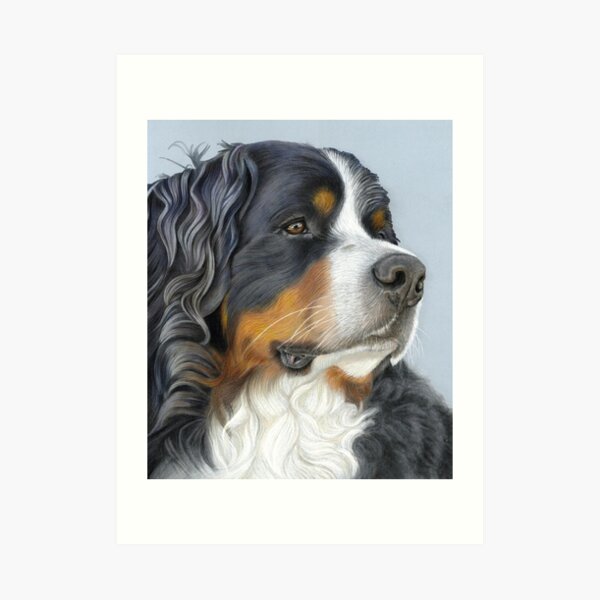 Bernese Mountain Dog, Ruger Art Print
