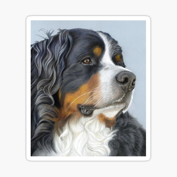 Bernese Mountain Dog, Ruger Sticker