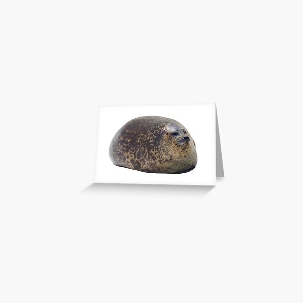 Item preview, Chubby Seal designed and sold by SCha.