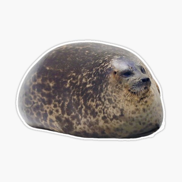 Gordito sello Pegatina