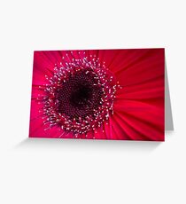 Event Horizon Greeting Card
