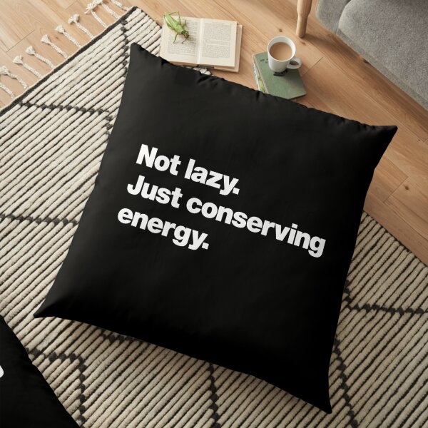 Not lazy. Just conserving energy. Floor Pillow