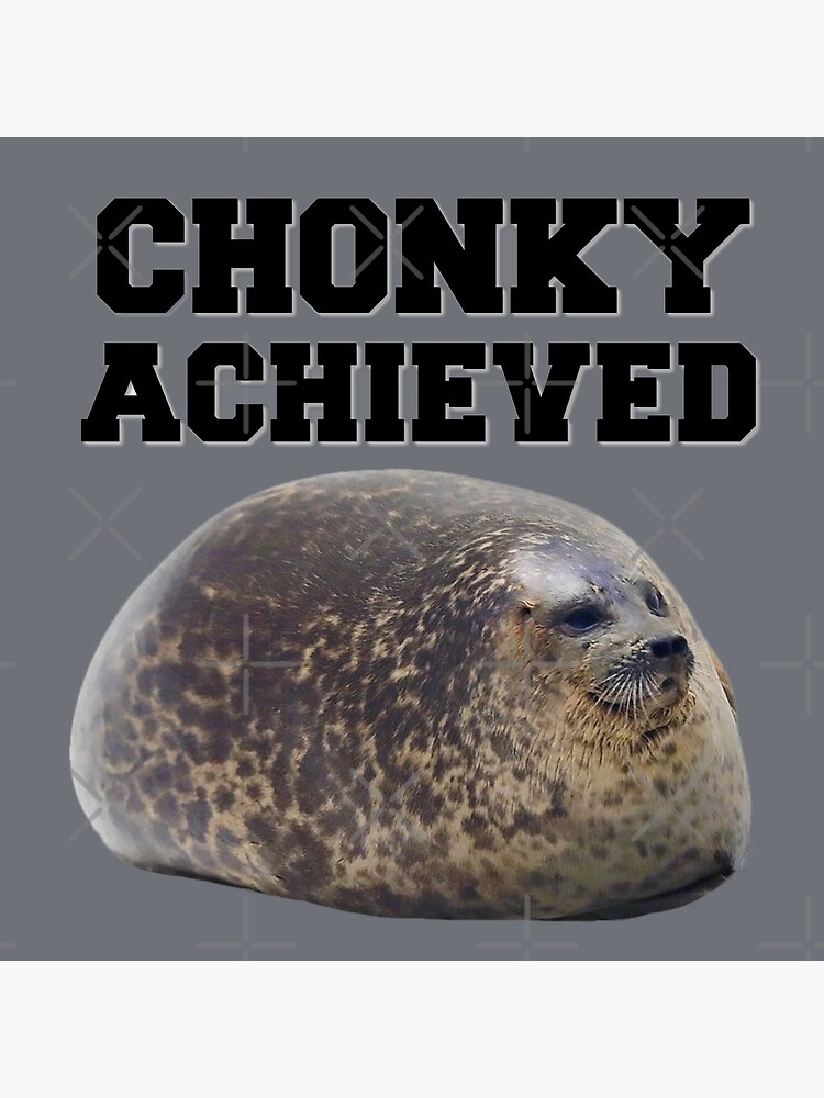 chonky seal toy