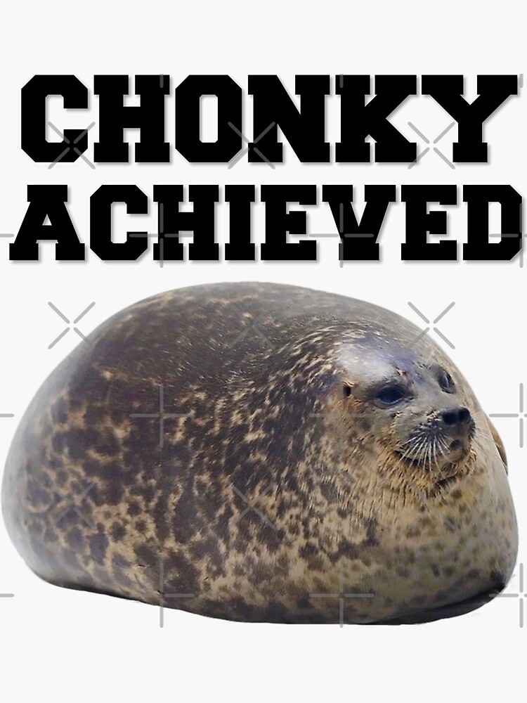 chonky the seal