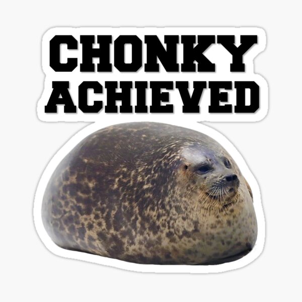 a chonky seal