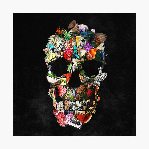 Fragile Skull 2 Photographic Print