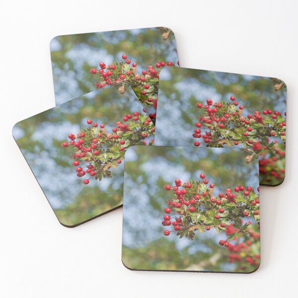 Item preview, Hawthorn Berries designed and sold by Terri Waters Photography & Design.