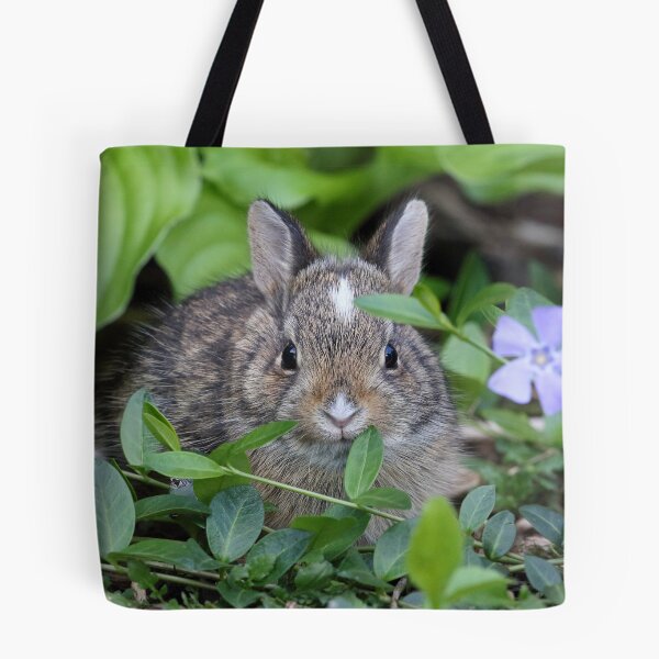 Item preview, Baby Rabbit designed and sold by WorldDesign.