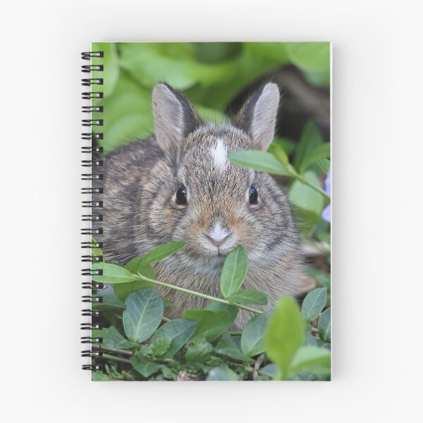 Item preview, Baby Rabbit designed and sold by WorldDesign.