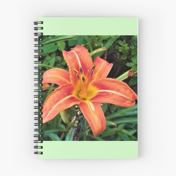 Item preview, Tiger lily, ever so tame designed and sold by britishcottage.