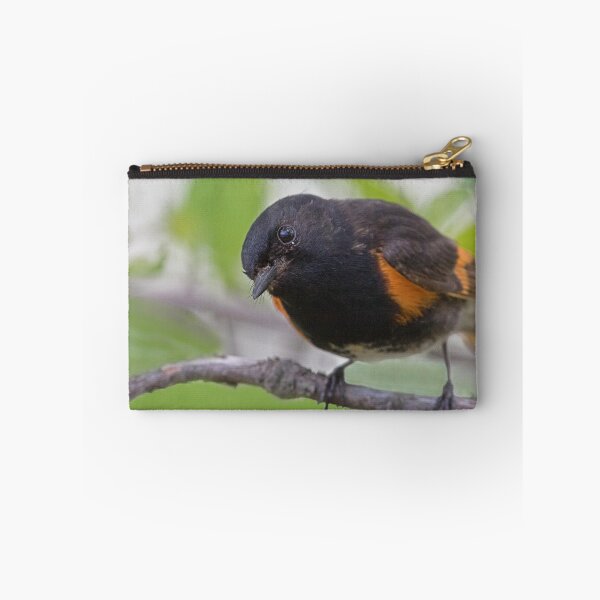 Item preview, American Redstart designed and sold by WorldDesign.