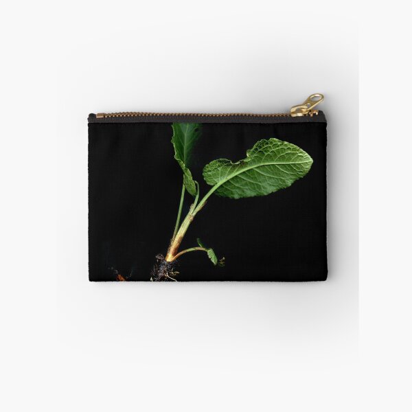Item preview, Dancer root. designed and sold by Gabriele Maurus.