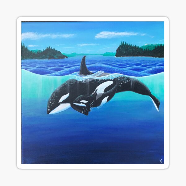 Orca Mother and Calf Sticker