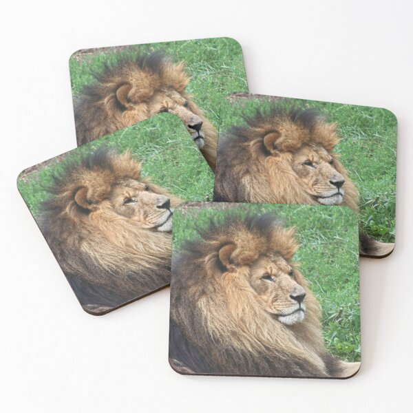 Item preview, Lion 001 designed and sold by JAMFoto.