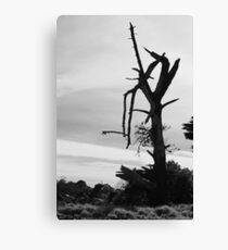 Desolation - Mornington Canvas Print