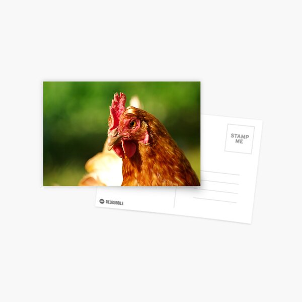 Item preview, Holga designed and sold by Tamara  Kenneally.