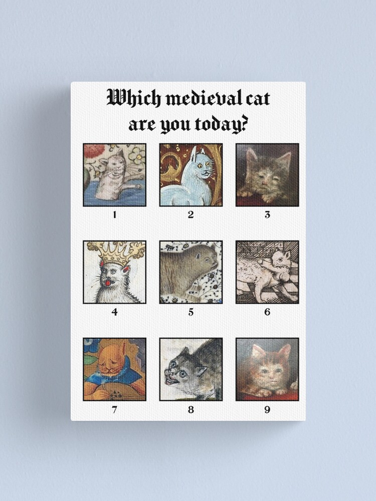 Impression Sur Toile Quel Chat Medieval Es Tu Aujourd Hui Par Coffeewithmilk Redbubble