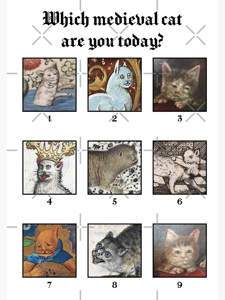 Which Medieval Cat Are You Today Greeting Card By Coffeewithmilk Redbubble