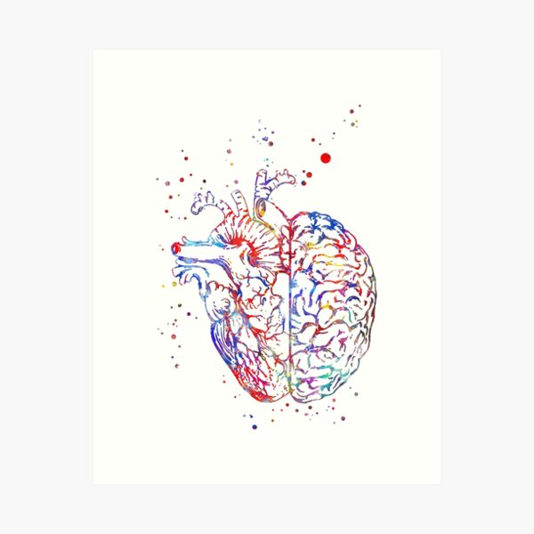 Item preview, Brain and heart, brain anatomy, heart,  heart anatomy, medical art designed and sold by Rosaliartbook.
