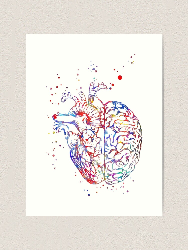 Heart and brain. Мозг и сердце. Сердце и головной мозг. Мозг эскиз. Мозг арт.