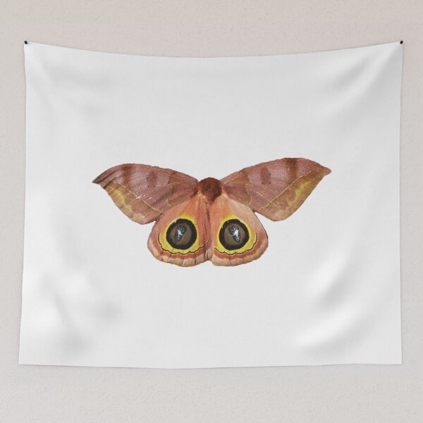 Item preview, Automeris tridens designed and sold by Qualiesin.
