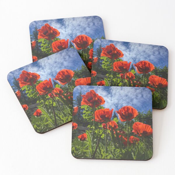 Item preview, Amapolas iluminadas por el sol designed and sold by Tracy Riddell.