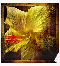 Manipulated Hibiscus. Poster