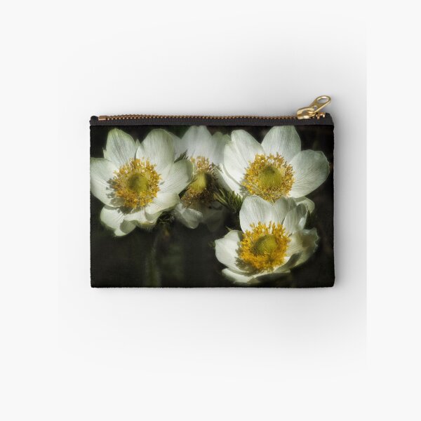 Item preview, Pasqueflowers designed and sold by Belinda Greb Photography.