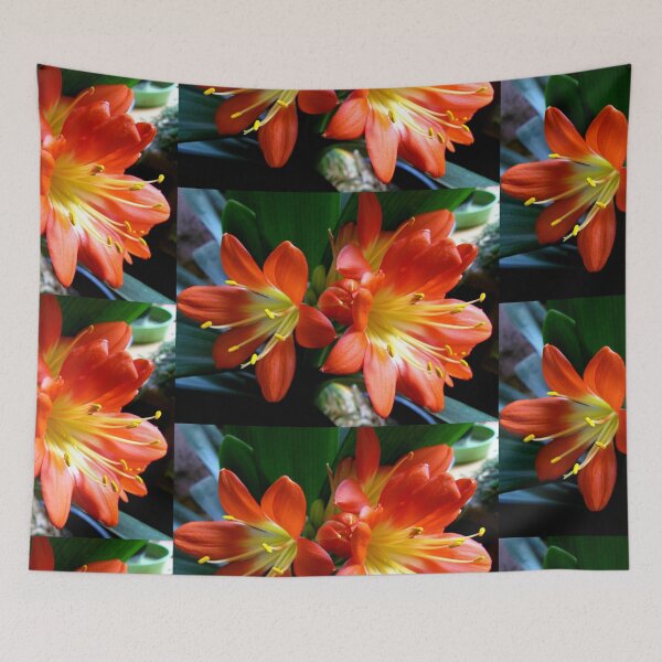 Item preview, Clivia Flowers, Coral flowers, Nature photography, Orange decor, Botanic design designed and sold by LCAppling.
