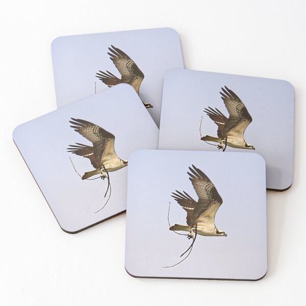 Item preview, Osprey - Balbuzard Pêcheur designed and sold by Yannik Hay.