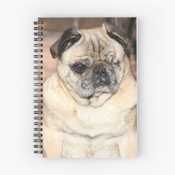 Item preview, Is it treat time? designed and sold by v-something.