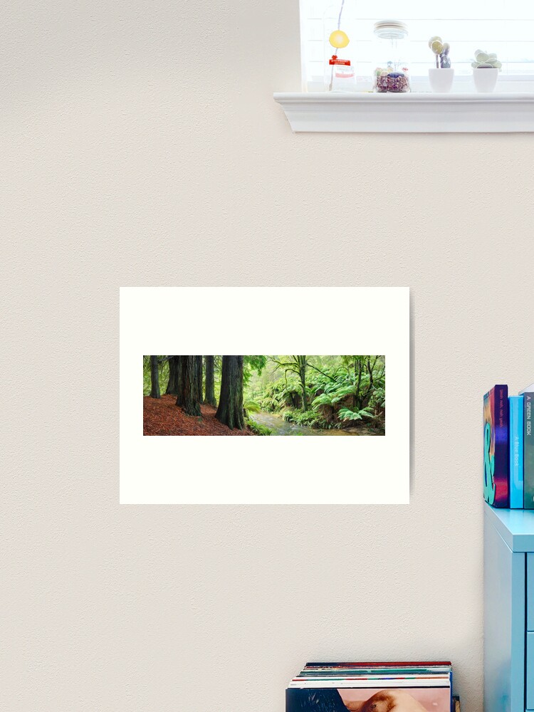 Thumbnail 2 of 3, Art Print, Redwoods by the Aire River, Otways, Great Ocean Road, Victoria, Australia designed and sold by Chockstone.