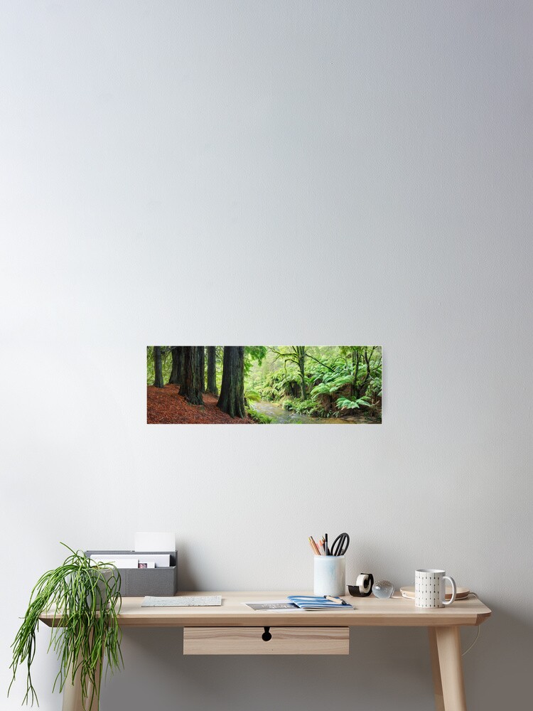 Thumbnail 2 of 3, Poster, Redwoods by the Aire River, Otways, Great Ocean Road, Victoria, Australia designed and sold by Chockstone.
