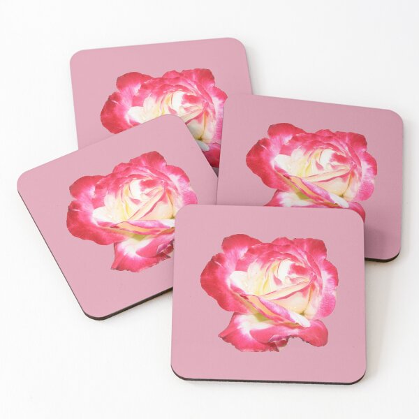 Item preview, Red Pink and Creme Rose designed and sold by STHogan.