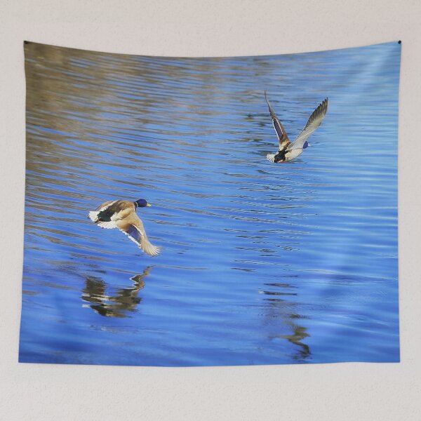 Item preview, Mallard Duck Couple Taking Flight designed and sold by Yannik Hay.