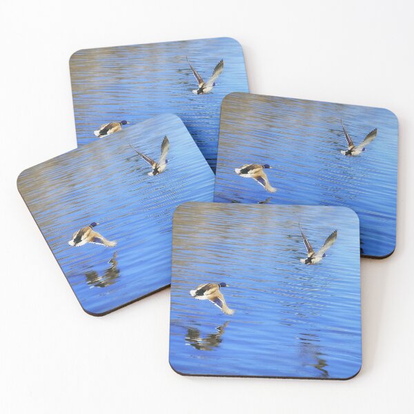 Item preview, Mallard Duck Couple Taking Flight designed and sold by Yannik Hay.