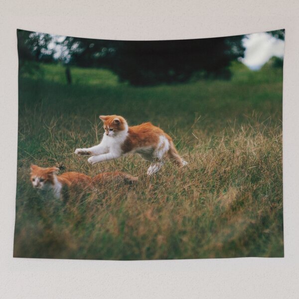 Item preview, Cats Playing designed and sold by TshirtInk.