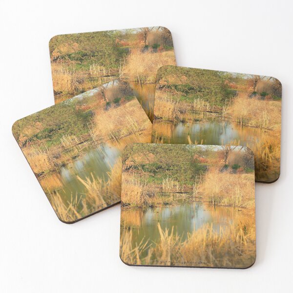 Item preview, Thurso Marsh, Parc national de Plaisance designed and sold by Yannik Hay.