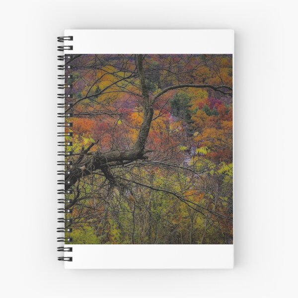 Item preview, Autumn Palette designed and sold by gymmybob.