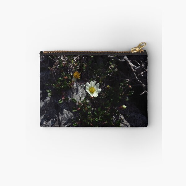 Item preview, Eightpetal Mountain-Avens - The Burren, Ireland designed and sold by wiggyofipswich.