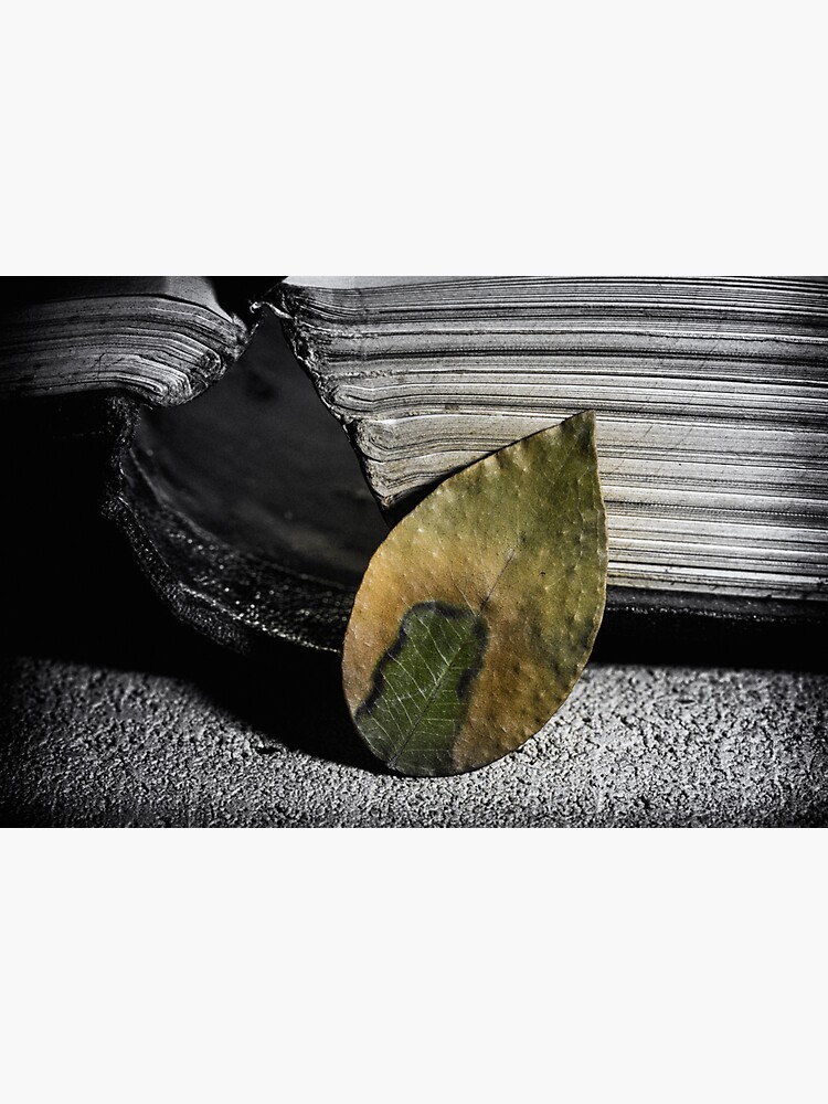 Still life of a book & a leaf by fardad